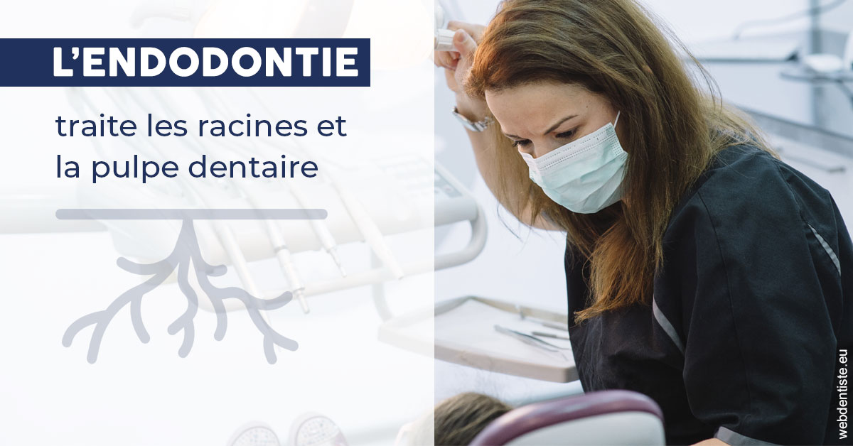 https://docteur-caroline-barnoin.chirurgiens-dentistes.fr/L'endodontie 1