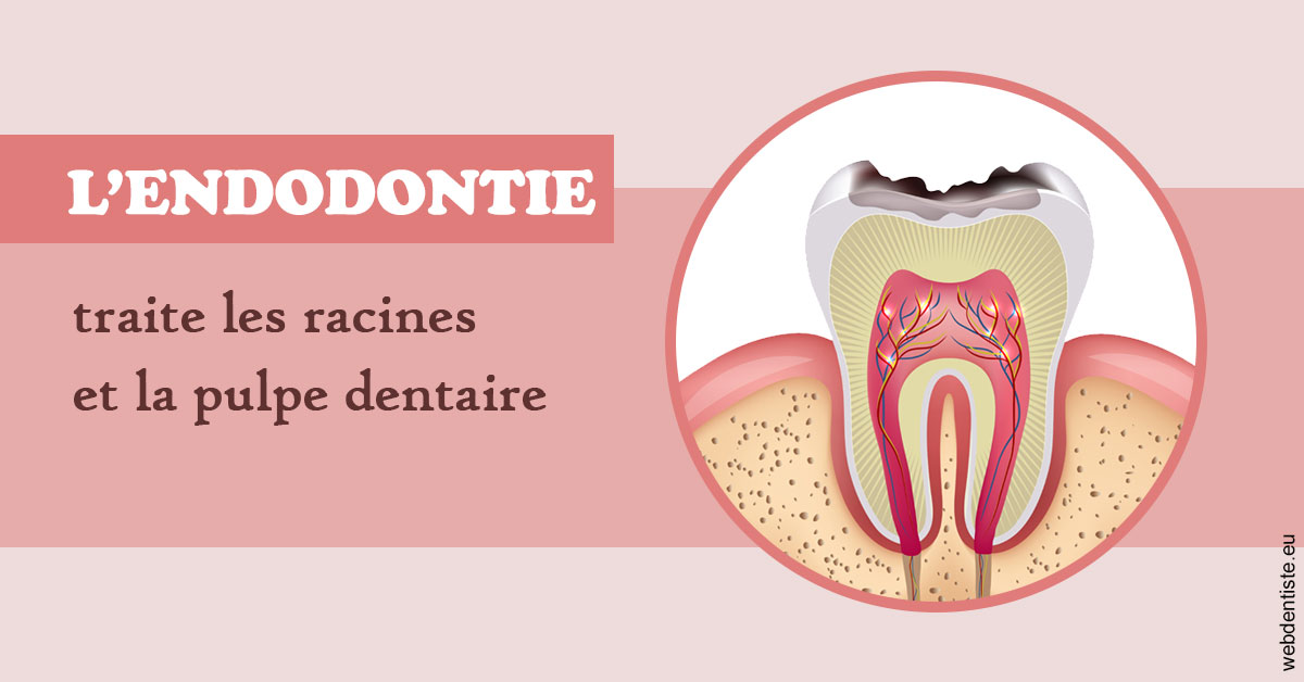 https://docteur-caroline-barnoin.chirurgiens-dentistes.fr/L'endodontie 2