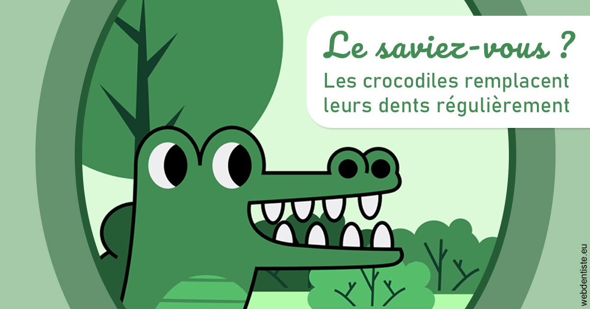 https://docteur-caroline-barnoin.chirurgiens-dentistes.fr/Crocodiles 2