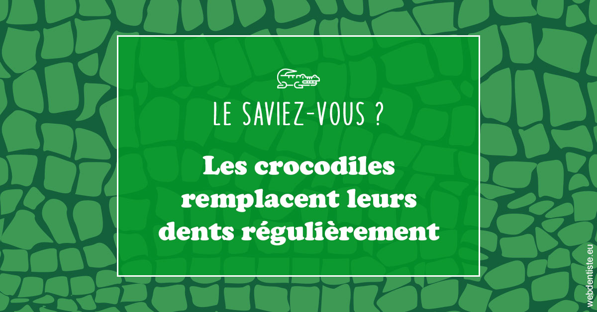 https://docteur-caroline-barnoin.chirurgiens-dentistes.fr/Crocodiles 1